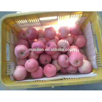 China Fresh Apple Fuji-red general 2017 crop